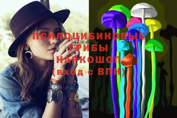 гидропоника Алзамай