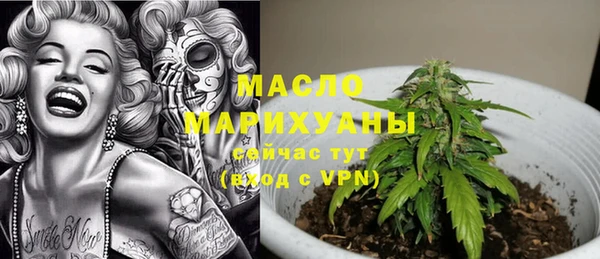 сатива Новокубанск