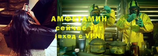 гидропоника Алзамай