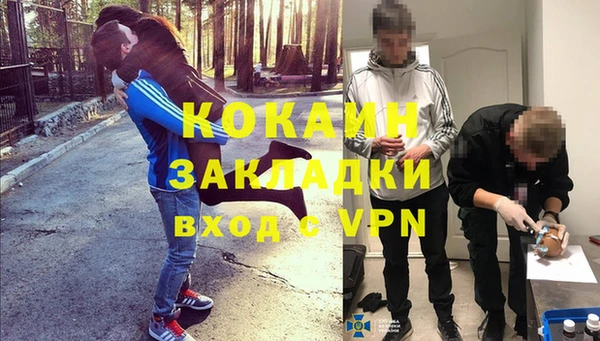 гидропоника Алзамай