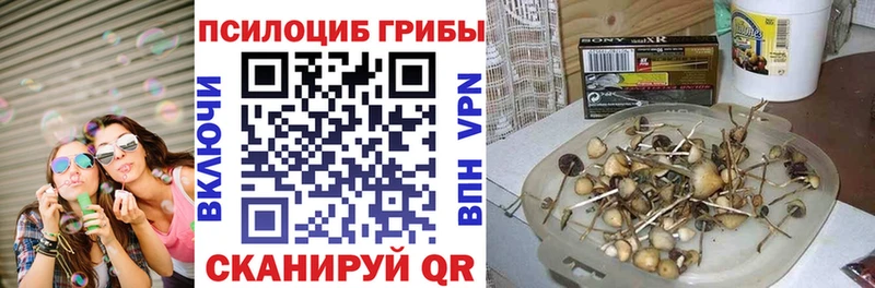 Галлюциногенные грибы Magic Shrooms  Павлово 